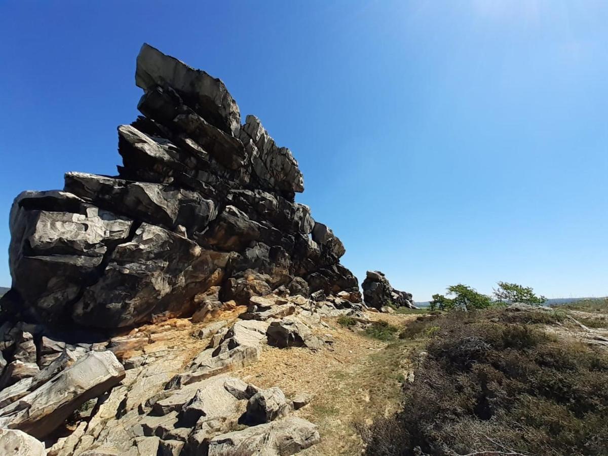 Ferienhaus Am Muehlgraben Thale Dış mekan fotoğraf