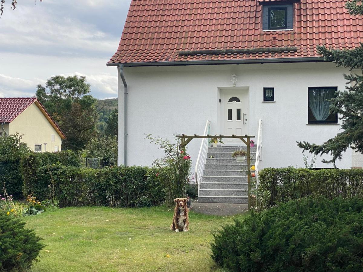 Ferienhaus Am Muehlgraben Thale Dış mekan fotoğraf
