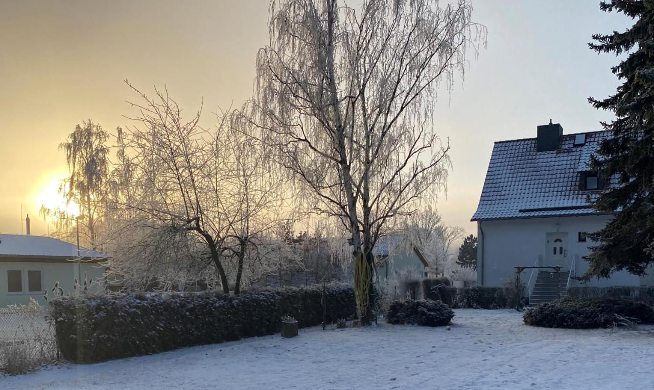 Ferienhaus Am Muehlgraben Thale Dış mekan fotoğraf