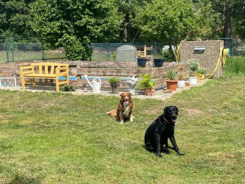 Ferienhaus Am Muehlgraben Thale Dış mekan fotoğraf