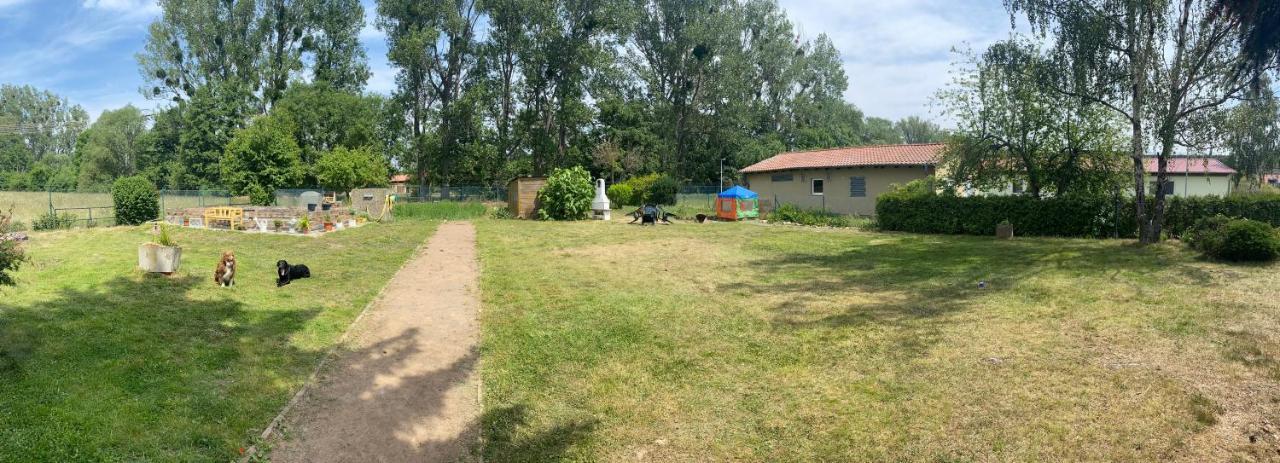 Ferienhaus Am Muehlgraben Thale Dış mekan fotoğraf